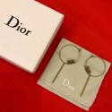 AAA Dior Earrings DR0691