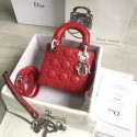 Designer Lady Dior mini DR0425
