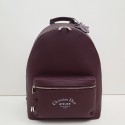 Dior Backpack DR0184