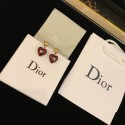 Dior Earrings DR0724