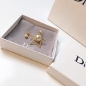 Dior Earrings DR0726