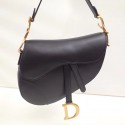 Dior Saddle Bag DR0145