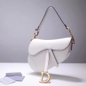 Dior Saddle Bag DR0147