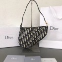 Dior Saddle Bag DR0208