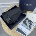 Dior saddle DR0295