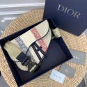 Dior saddle DR0297