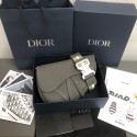 Dior saddle DR0299