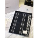 Dior Scarf DR0737