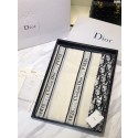 Dior Scarf DR0770