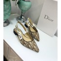Dior shoes DR0446