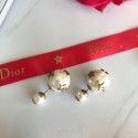 Fake Dior Earrings DR0682