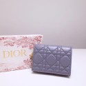 Fake Dior Wallet DR0783