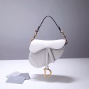 High Imitation Dior Saddle Bag DR0154