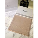 Imitation Dior Scarf DR0744