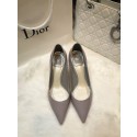 Imitation Dior shoes DR0583