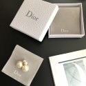 Imitation Top Dior Earrings DR0681