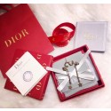 Replica Dior Earrings DR0695