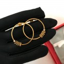 Replica Dior Earrings DR0723