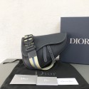 Replica Dior saddle DR0298