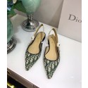Replica Dior shoes DR0447