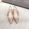 Replica Luxury Dior Shoes DR0562