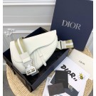 Dior saddle DR0296
