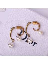AAA 1:1 Dior Earrings DR0725