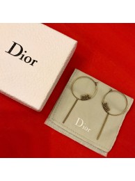 AAA Dior Earrings DR0691
