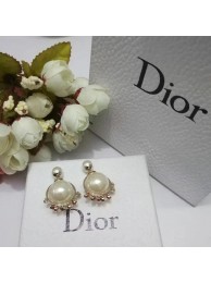 Copy Dior Earrings DR0720