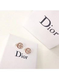 Designer Copy Dior Earrings DR0699