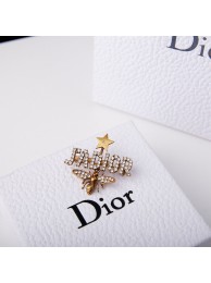 Dior Brooch DR0676