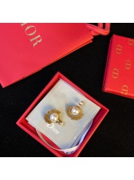 Dior Earrings DR0684