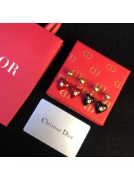 Dior Earrings DR0689
