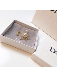Dior Earrings DR0726