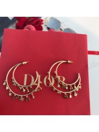 Dior Earrings DR0728