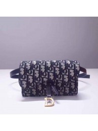 Dior Saddle Belt Bag DR0165