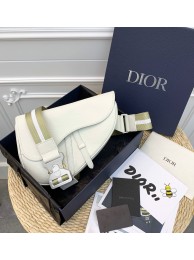 Dior saddle DR0296