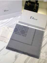 Dior Scarf DR0745