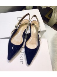 Dior Shoes DR0570