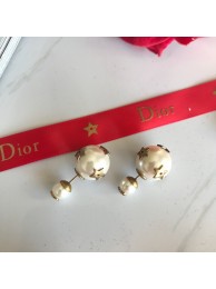 Fake Dior Earrings DR0682