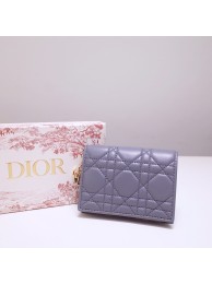 Fake Dior Wallet DR0783