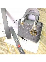 Fake Lady Dior DR0397