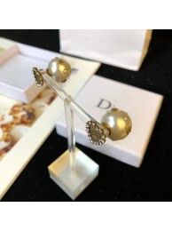 High Quality Dior Earrings DR0674