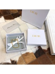 Imitation Dior brooch DR0711